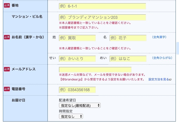 ブランディアの申込みフォーム3